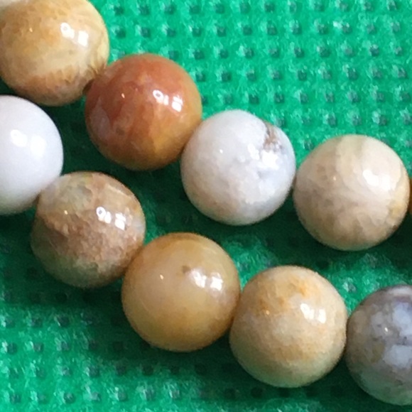 Fossil Jasper 6mm - Picture 2 of 7